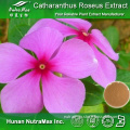 100% Natural Catharanthus Roseus Extract (Ratio: 4: 1~20: 1)